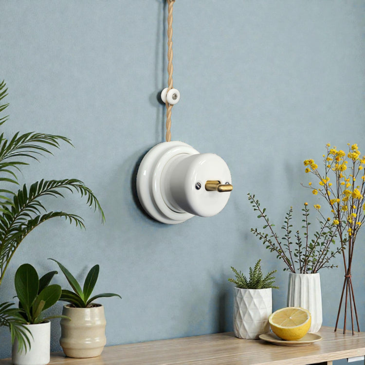 Surface Mounted Switches