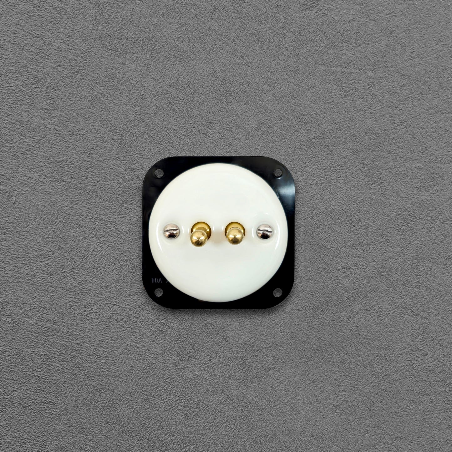 white porcelain 2gang2pole toggle light switch insert, flush-mount