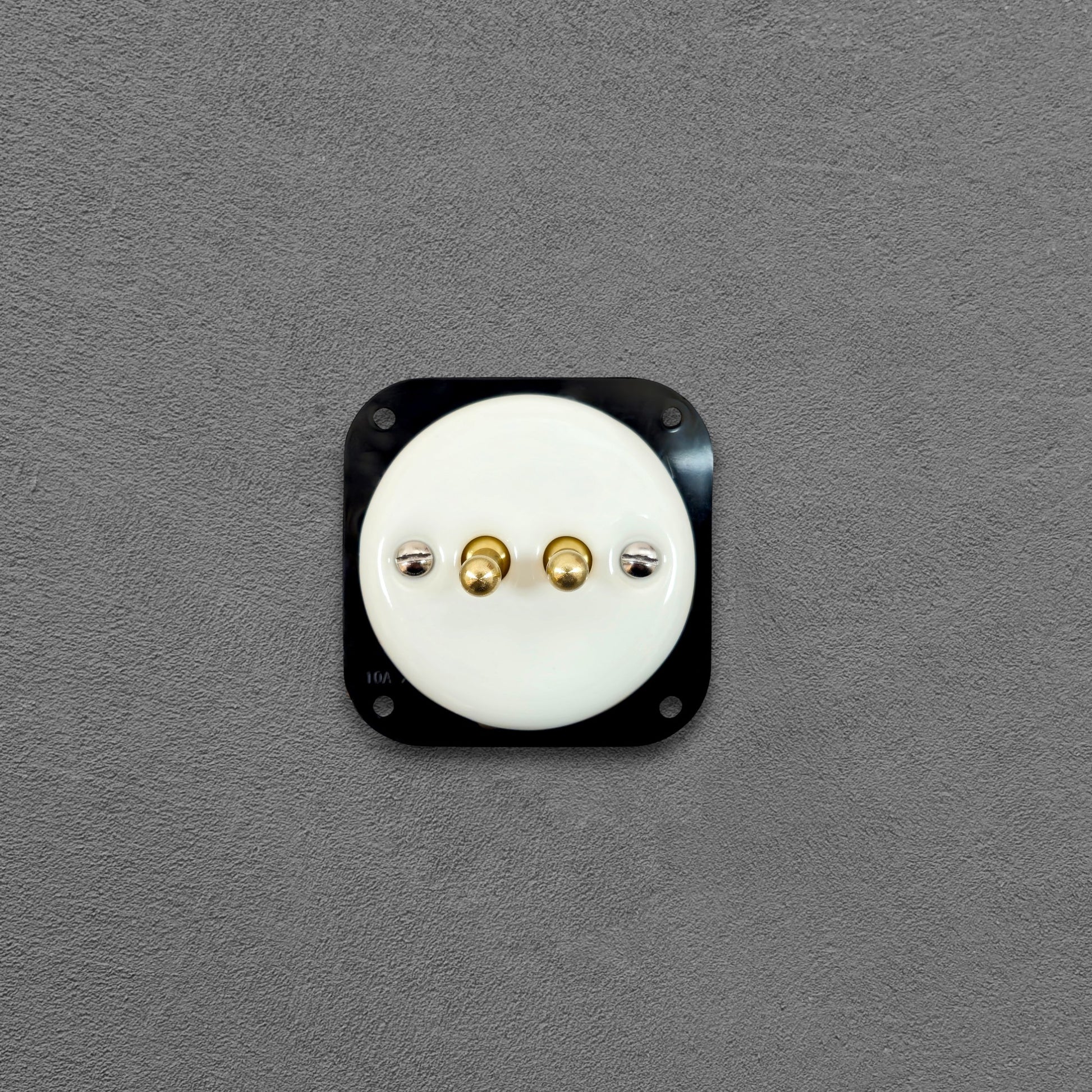 white porcelain 2gang2pole toggle light switch insert, flush-mount