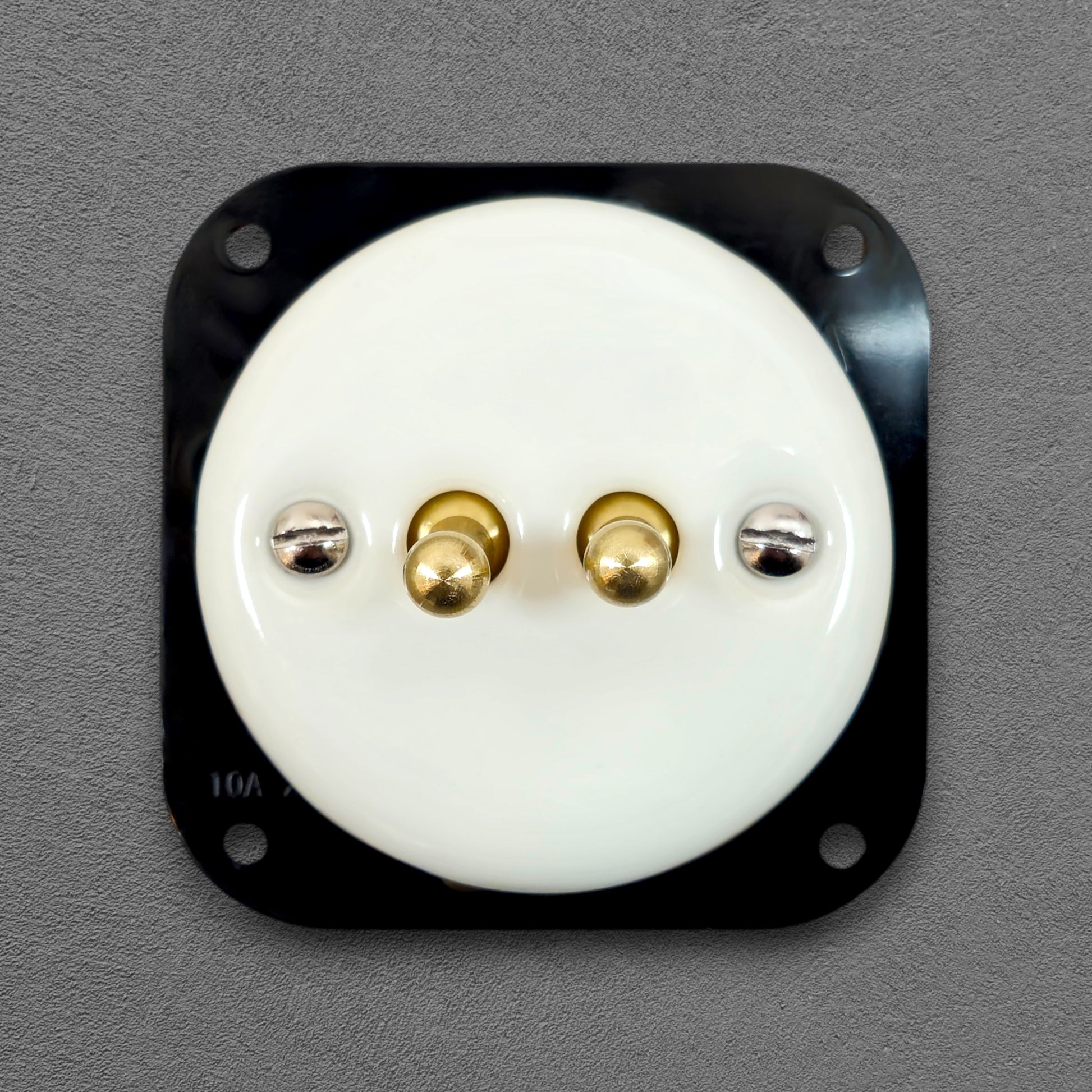 white porcelain 2gang2pole toggle light switch insert, flush-mount, front