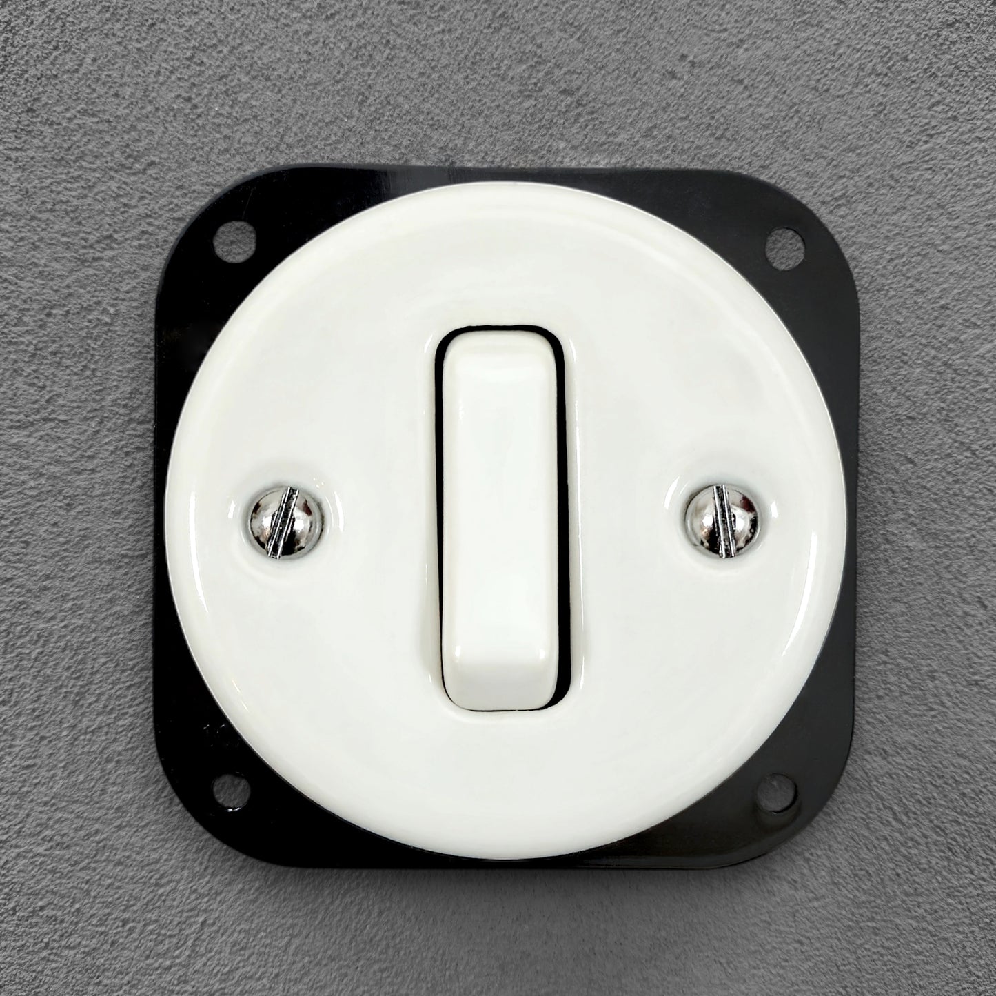 white porcelain 1gang2pole light switch insert, flush-mount, front
