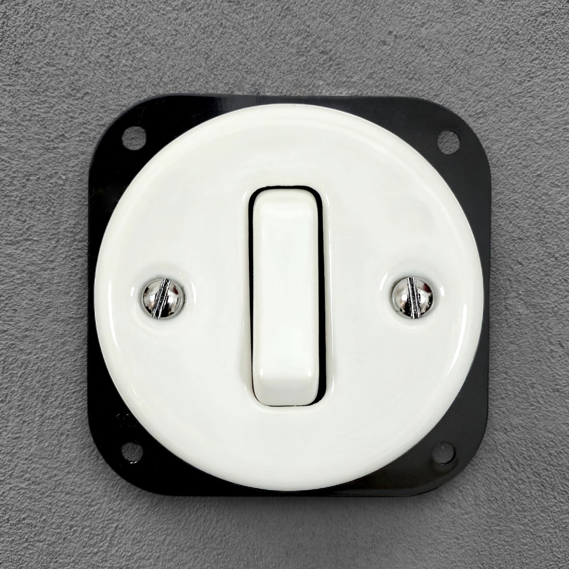 white porcelain 1gang2pole light switch insert, flush-mount, front