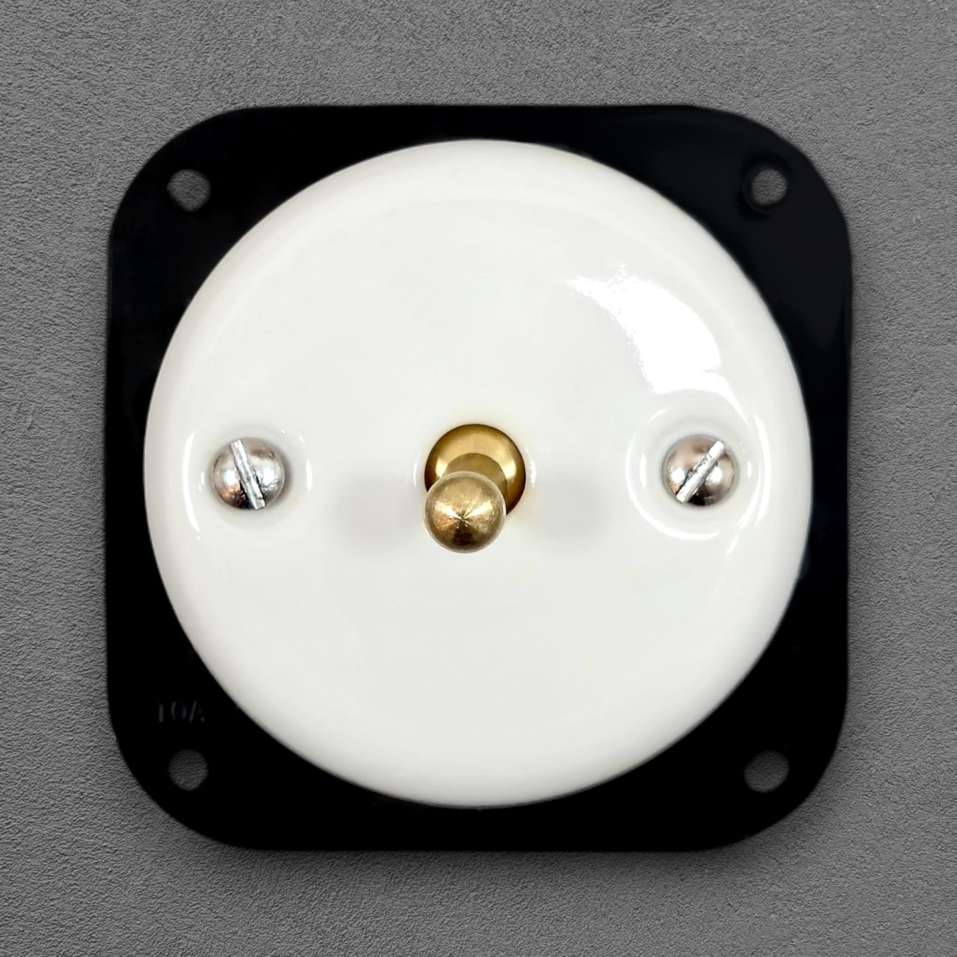 white porcelain 1gang2pole toggle light switch insert, flush-mount, front