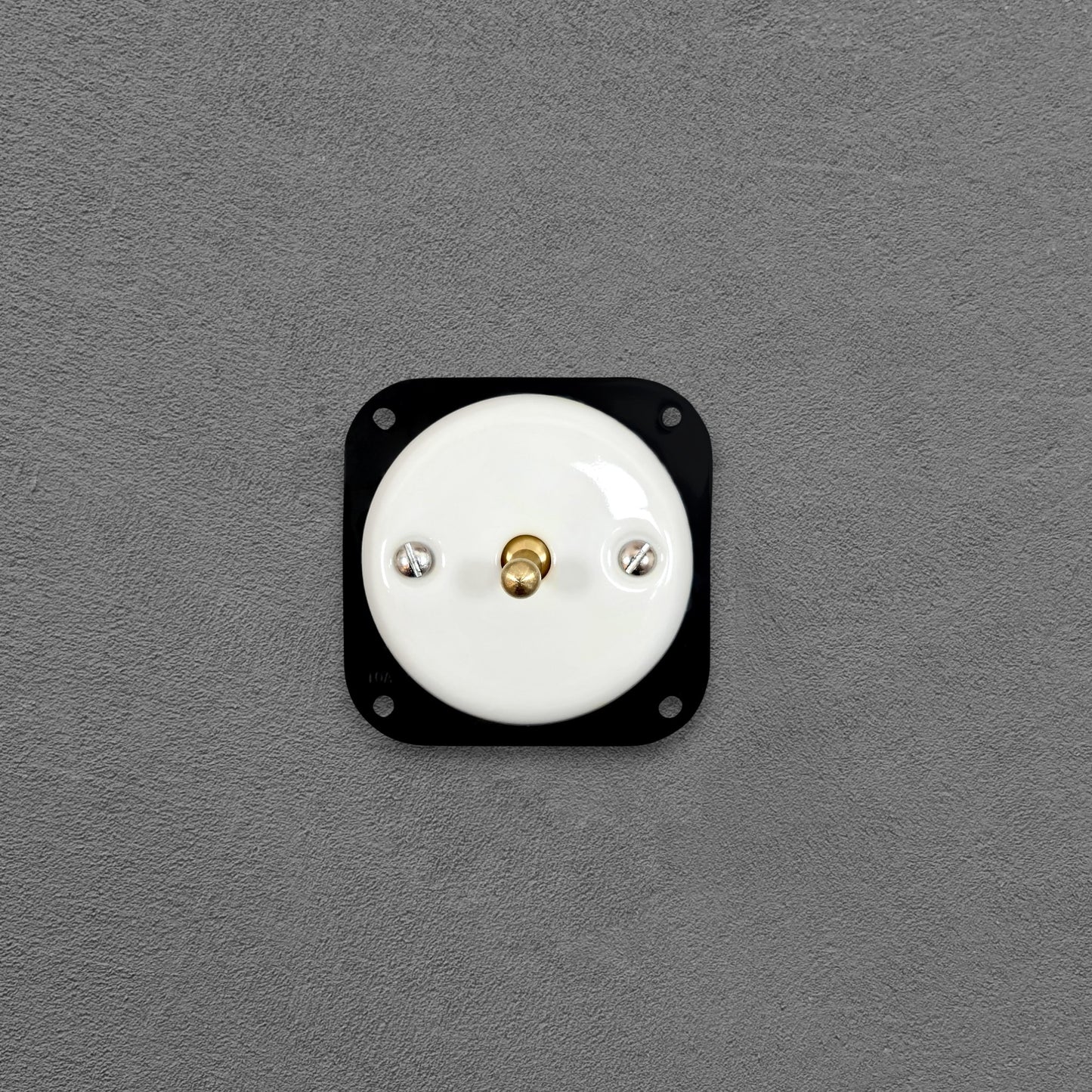 white porcelain 1gang2pole toggle light switch insert, flush-mount