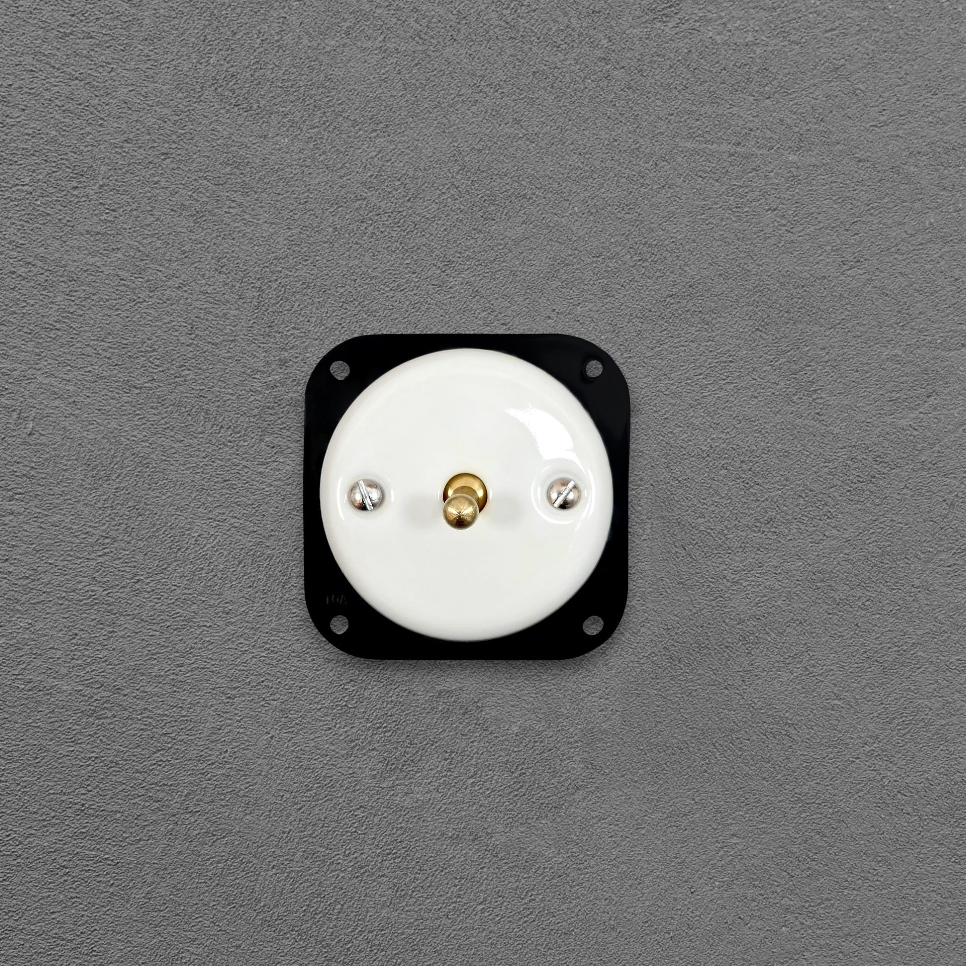 white porcelain 1gang2pole toggle light switch insert, flush-mount