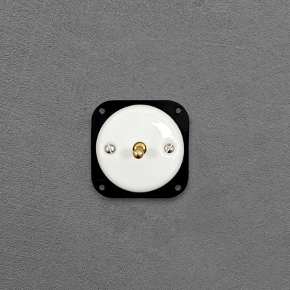 white porcelain 1gang2pole toggle light switch insert, flush-mount
