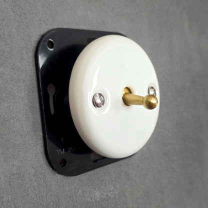 white porcelain 1gang2pole toggle light switch insert, flush-mount, angled