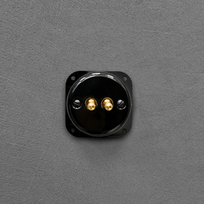 black porcelain 2gang2pole toggle light switch insert, flush-mount