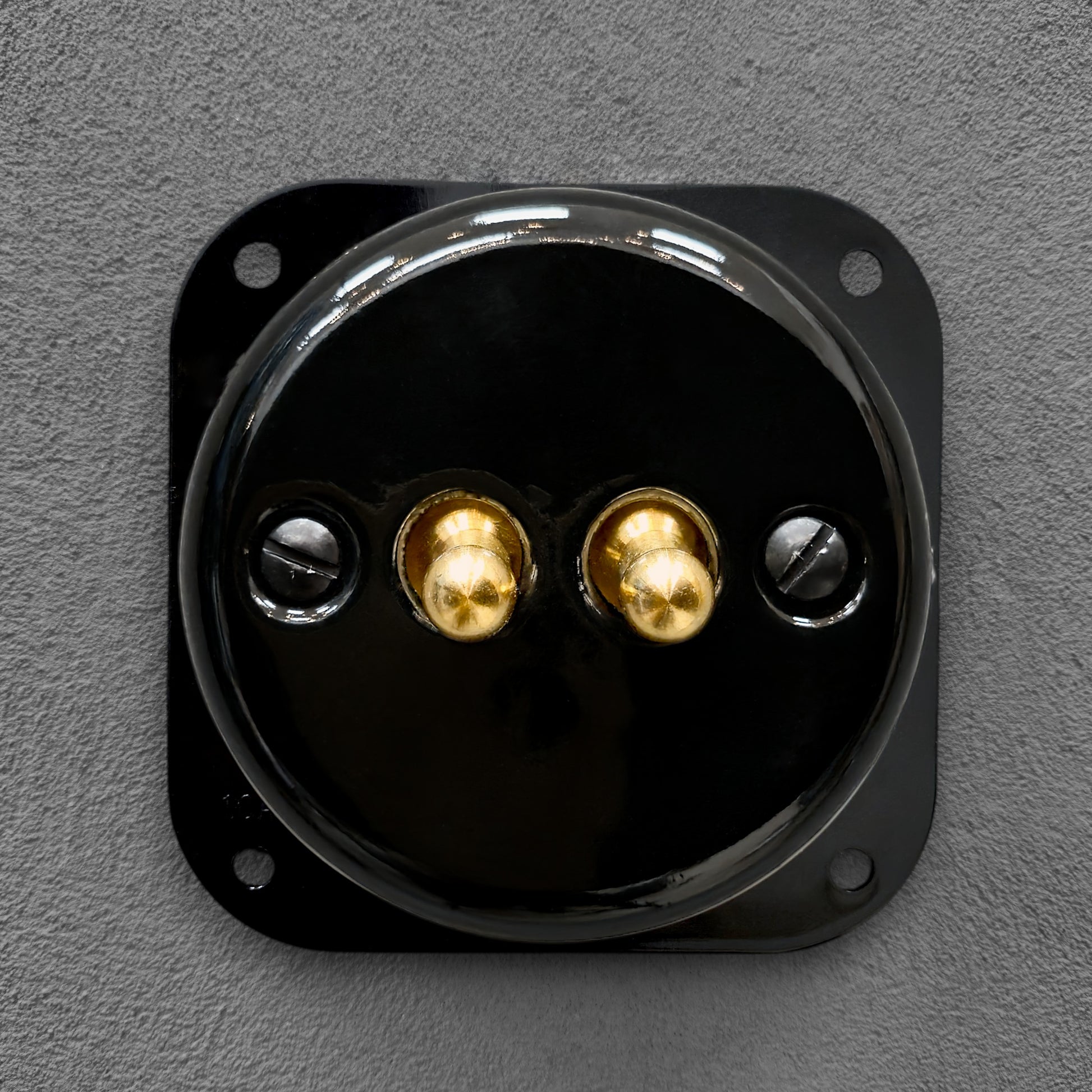 black porcelain 2gang2pole toggle light switch insert, flush-mount, front